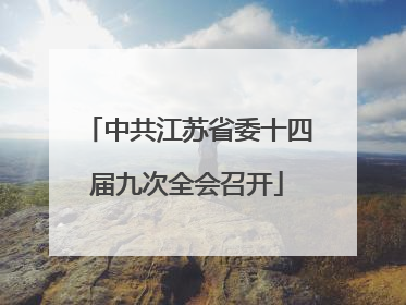 中共江苏省委十四届九次全会召开