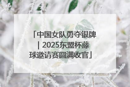 中国女队勇夺银牌｜2025东盟杯藤球邀请赛圆满收官