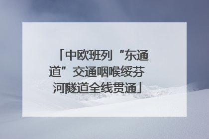 中欧班列“东通道”交通咽喉绥芬河隧道全线贯通
