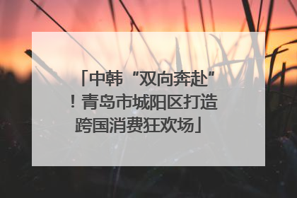 中韩“双向奔赴”！青岛市城阳区打造跨国消费狂欢场