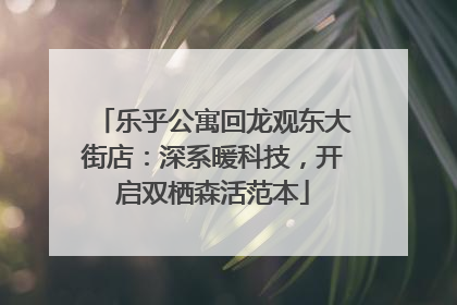 乐乎公寓回龙观东大街店：深系暖科技，开启双栖森活范本