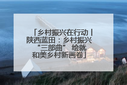 乡村振兴在行动丨陕西蓝田：乡村振兴 “三部曲” 绘就和美乡村新画卷