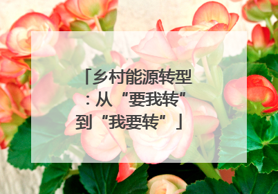 乡村能源转型：从“要我转”到“我要转”