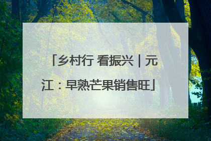 乡村行 看振兴｜元江：早熟芒果销售旺