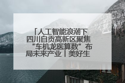 人工智能浪潮下 四川自贡高新区聚焦“车机龙医算数”布局未来产业丨美好生活有“盐”味