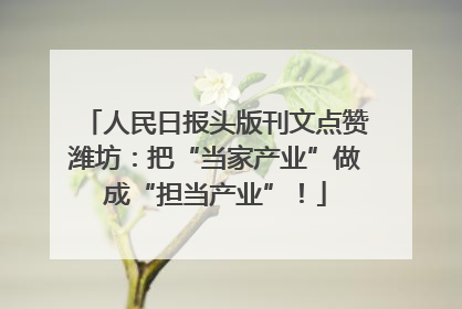 人民日报头版刊文点赞潍坊：把“当家产业”做成“担当产业”！