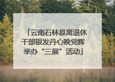 云南石林县离退休干部银发丹心映党辉举办“三展”活动