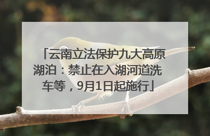 云南立法保护九大高原湖泊：禁止在入湖河道洗车等，9月1日起施行