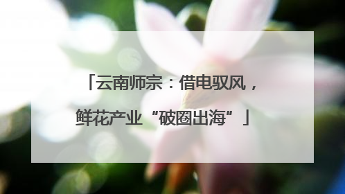 云南师宗：借电驭风，鲜花产业“破圈出海”