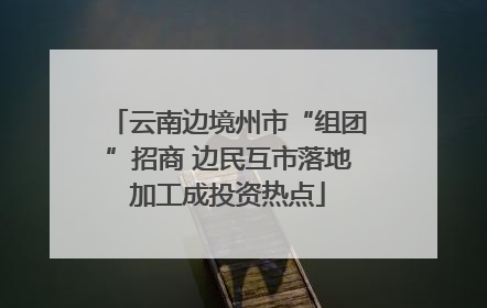 云南边境州市“组团”招商 边民互市落地加工成投资热点
