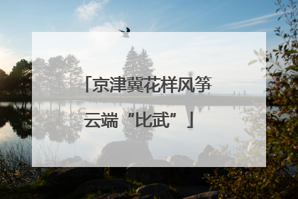 京津冀花样风筝云端“比武”