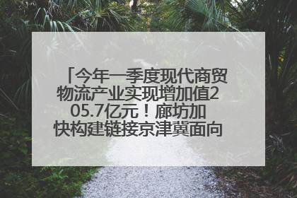 今年一季度现代商贸物流产业实现增加值205.7亿元！廊坊加快构建链接京津冀面向全世界的物流通道