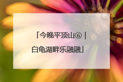 今晚平顶山⑥｜白龟湖畔乐融融