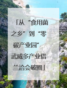 从“食用菌之乡”到“零碳产业园” 武威多产业借兰洽会破圈