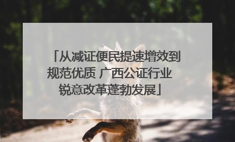 从减证便民提速增效到规范优质 广西公证行业锐意改革蓬勃发展