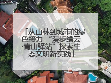 从山林到城市的绿色接力 “漫步缙云·青山驿站”探索生态文明新实践