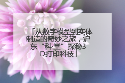 从数字模型到实体制造的奇妙之旅，沪东“科·堂”探秘3D打印科技