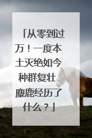 从零到过万！一度本土灭绝如今种群复壮 麋鹿经历了什么？