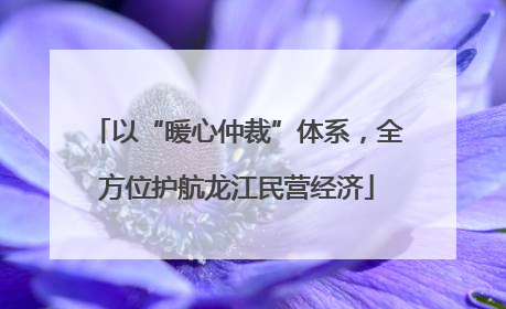 以“暖心仲裁”体系，全方位护航龙江民营经济