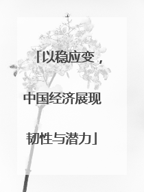 以稳应变，中国经济展现韧性与潜力