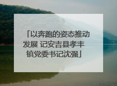 以奔跑的姿态推动发展 记安吉县孝丰镇党委书记沈强