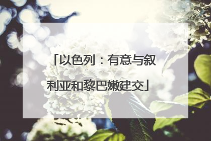 以色列：有意与叙利亚和黎巴嫩建交