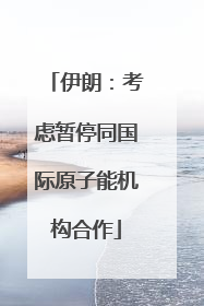 伊朗：考虑暂停同国际原子能机构合作