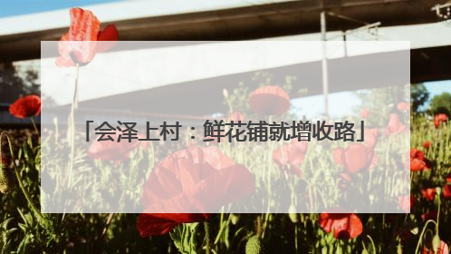 会泽上村：鲜花铺就增收路