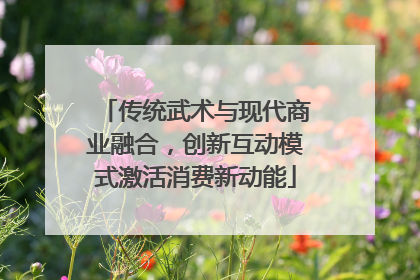 传统武术与现代商业融合，创新互动模式激活消费新动能
