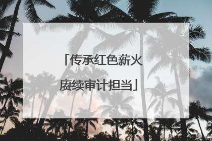 传承红色薪火 赓续审计担当