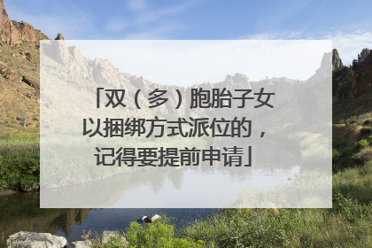 双（多）胞胎子女以捆绑方式派位的，记得要提前申请
