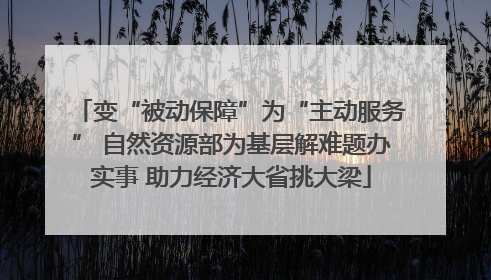变“被动保障”为“主动服务” 自然资源部为基层解难题办实事 助力经济大省挑大梁