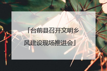 台前县召开文明乡风建设现场推进会