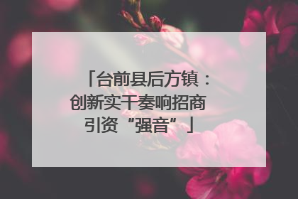 台前县后方镇：创新实干奏响招商引资“强音”