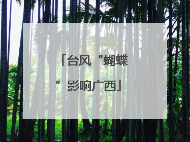 台风“蝴蝶”影响广西