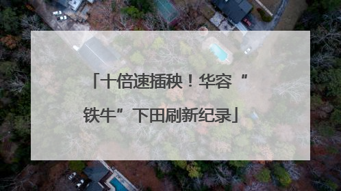 十倍速插秧！华容“铁牛”下田刷新纪录