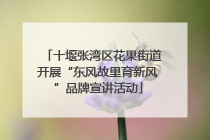 十堰张湾区花果街道开展“东风故里育新风”品牌宣讲活动