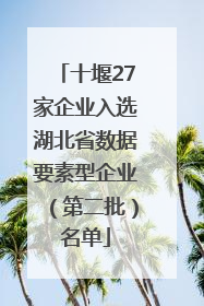 十堰27家企业入选湖北省数据要素型企业（第二批）名单