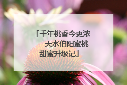 千年桃香今更浓——天水伯阳蜜桃甜蜜升级记