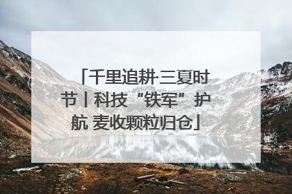 千里追耕·三夏时节丨科技“铁军”护航 麦收颗粒归仓