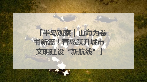 半岛观察｜山海为卷书新篇！青岛跃升城市文明建设“新航线”
