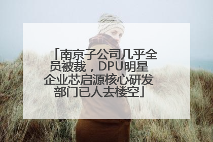南京子公司几乎全员被裁，DPU明星企业芯启源核心研发部门已人去楼空