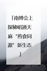 南博会上探秘昭通天麻“药食同源”新生态