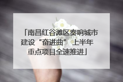 南昌红谷滩区奏响城市建设“奋进曲” 上半年重点项目全速推进