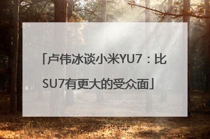 卢伟冰谈小米YU7：比SU7有更大的受众面
