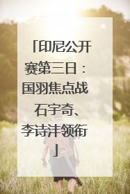 印尼公开赛第三日：国羽焦点战 石宇奇、李诗沣领衔