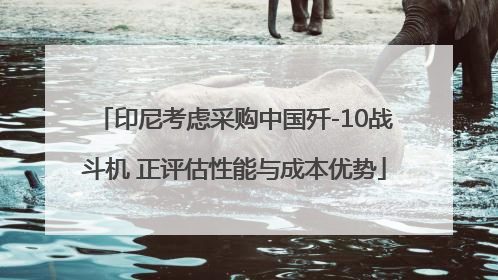 印尼考虑采购中国歼-10战斗机 正评估性能与成本优势