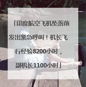 印度航空飞机坠落前发出紧急呼叫！机长飞行经验8200小时，副机长1100小时