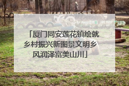 厦门同安莲花镇绘就乡村振兴新图景文明乡风润泽富美山川
