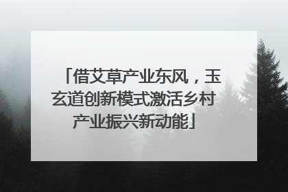 借艾草产业东风，玉玄道创新模式激活乡村产业振兴新动能